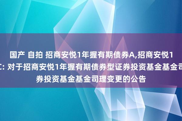 国产 自拍 招商安悦1年握有期债券A,招商安悦1年握有期债券C: 对于招商安悦1年握有期债券型证券投资基金基金司理变更的公告
