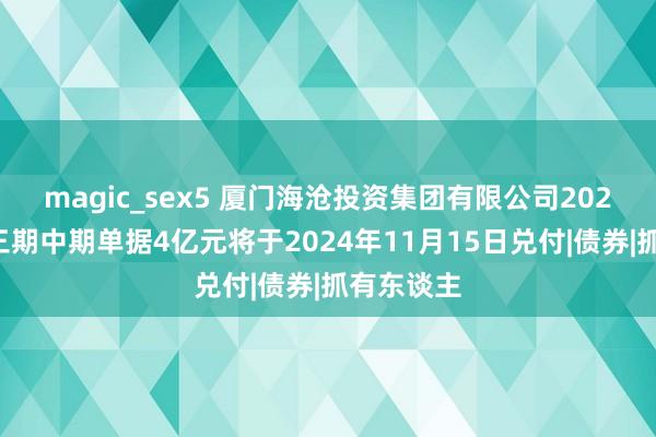 magic_sex5 厦门海沧投资集团有限公司2021年度第三期中期单据4亿元将于2024年11月15日兑付|债券|抓有东谈主