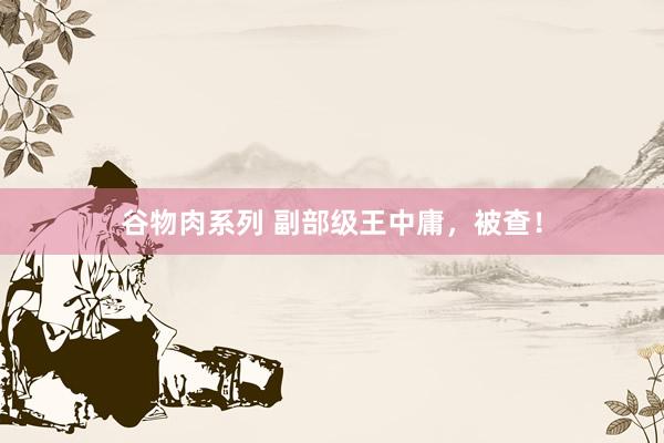谷物肉系列 副部级王中庸，被查！