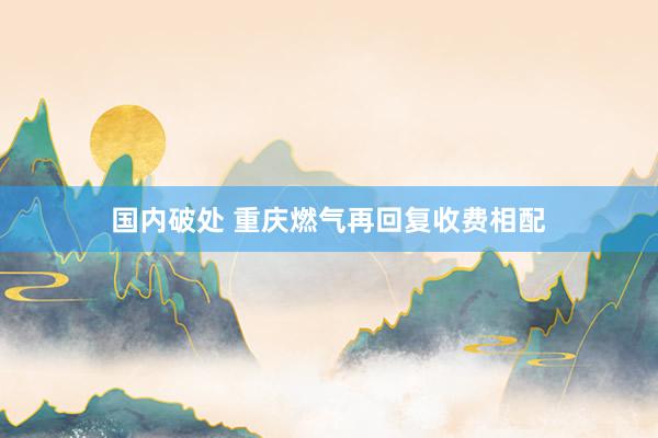 国内破处 重庆燃气再回复收费相配