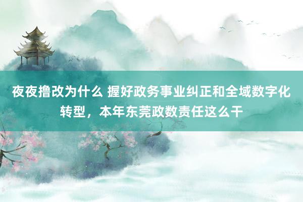 夜夜撸改为什么 握好政务事业纠正和全域数字化转型，本年东莞政数责任这么干