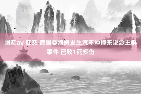 國產av 肛交 德国曼海姆发生汽车冲撞东说念主群事件 已致1死多伤