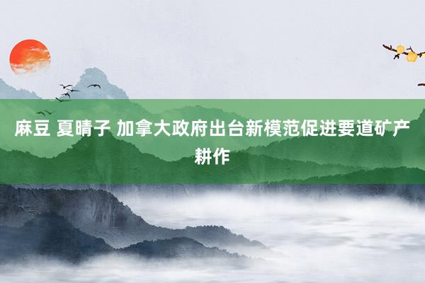 麻豆 夏晴子 加拿大政府出台新模范促进要道矿产耕作