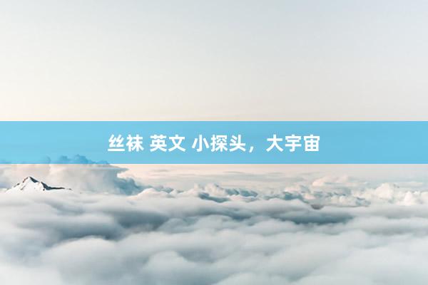 丝袜 英文 小探头，大宇宙