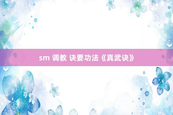 sm 调教 诀要功法《真武诀》