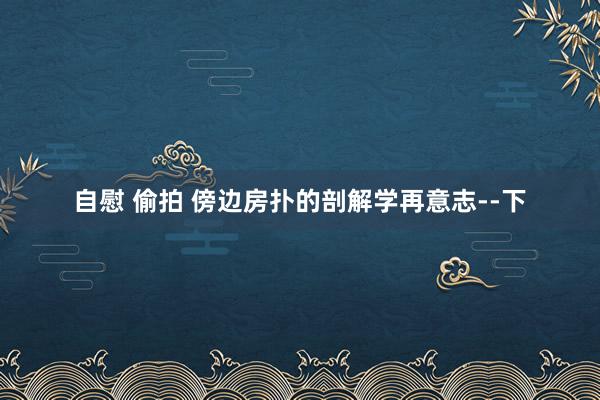 自慰 偷拍 傍边房扑的剖解学再意志--下