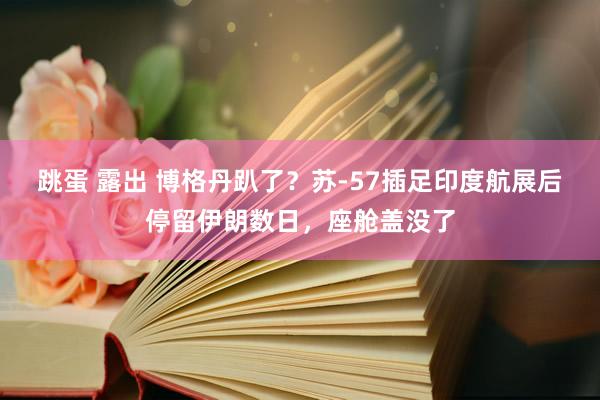 跳蛋 露出 博格丹趴了？苏-57插足印度航展后停留伊朗数日，座舱盖没了